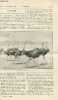 La nature n° 1322 - L'autruche, son élevage en Algérie au point de vue commercial - l'aurore boréale et la perturbation magnétique du 9.09.1898 - les ...