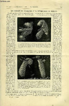 La nature n° 1426 - Les théories de l'évolution et la métamorphose du phoronis - l'industrie chimique à l'exposition de 1900 - les pavillons des ...