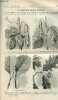 La nature n° 1472 - Les Coléoptères rouleurs de feuilles par H . Coupin - Les Collections de Baye par Monclavel - L'industrie minière en 1900 par J F ...