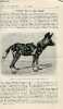 La nature n° 1494 - La cynhyène peinte ou chien hyénoïde avec gravure dans le texte de l'animal. Un voyage aérostatique au long cours par Espitallier. ...