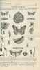 La nature n° 1496 - Les insectes des violettes avec gravures dans le texte de ces insectes. La science au théâtre - chaudière électrique - cascade de ...