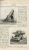 La nature n° 1503 - Les mortiers avec gravures dans le texte , article par lieutenant colonel Delauney. Origines de l'art - Les gravures sur les ...