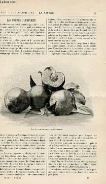 La nature n° 1635 - Les Prunes Japonaises par AL. Maumené - La Teinture sans couleur - Les Etalons Géodésiques modernes par Guillaume - Les Gazons ...