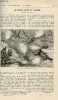 La nature n° 1649 - Les Insectes Curieux de L'Amazonie un Dragon en Miniature par P de Cointe - La Physique des corps solides d'aprés les idées ...