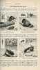 La nature n° 1654 - Les Bestioles qui se font Porter par H. Coupin - Baguettes dorées par L. Fournier - Observation d'une trainée météorique au ...