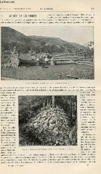 La nature n° 1693 - Le Vent et les arbres par L . Rudaux - Stéréoscope dièdre a Grand champ par G. Mareschal - Propriété physique de l'argile - ...