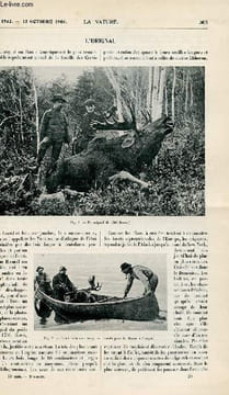 La nature n° 1742 - L'original par J. Boyer - L'alcoolisme chez nos pécheurs de hautes mer par a Acloque - Les Abattoirs publics par J de Loverdo - Le ...