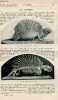La nature n° 1782 - Le Naosaurus par Lambert, Outils pneumatiques par Weiss, Comment se fabrique un objectif photographique par Boyer, La sécheresse ...