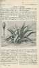 La nature n° 1860 - Le Pulqué au méxique - Le Gyroscope et le roulis des navires - Les Revetements de berges des canaux - Le Désastre italien - ...