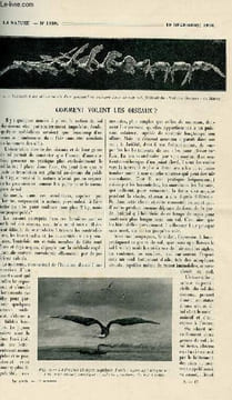 La nature n° 1959 - Comment volent les oiseaux? par Fournier, Les gaz liquéfiés (air, hélium) par G. Bresch, Pluies normales, pluies diluviennes et ...