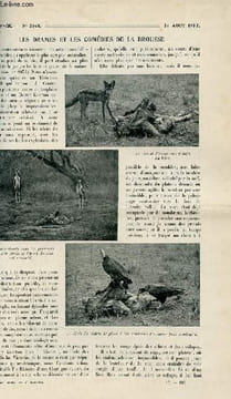 La nature n° 2048 - Les drames et les comédies de la brousse par Forbin, les opales de Nouvelle-Galles du sud par Privat-Deschanel, le canon de ...