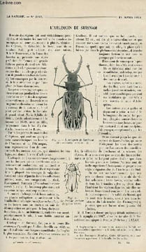 La nature n° 2077 - L'arlequin de Surinam - La Base Moderne de la thermodynamique - Quelques croyances anciennes relatives aux plantes la ...