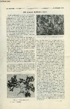 La nature n° 2625 - Les algues utiles par Coupin, Les révolutions du globe par Mascart, Lavage et carbonisage de la laine par Lanorville, JH Fabre et ...