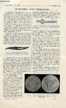 La nature n° 2702 - Les diatomées: algues microscopiques par M. Lefèvre, L'extraction des alcaloïdes par P. Durocher, Constructions isotherrmiques en ...