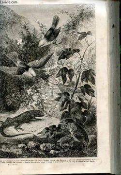 Le tour du monde - nouveau journal des voyages - livraison n°036 - voyages d'un naturaliste (Charles Darwin) - l'archipel Galapagos et les atolles ou ...