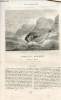 Le tour du monde - nouveau journal des voyages - livraison n°120, 121, 122 et 123 - Voyage au Mexique par E. Vigneaux (1854-1855).. CHARTON Edouard