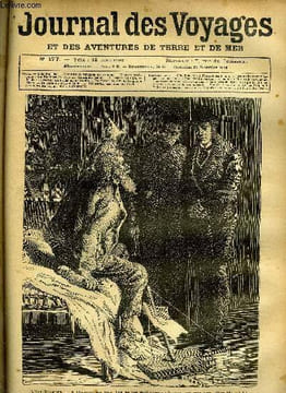 Journal des voyages et des aventures de terre et de mer n° 177 - L'ile blanche - A l'hospice des fous, l'un de ces malheureux m'appela par mon nom, ...