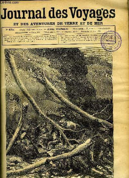 Journal des voyages et des aventures de terre et de mer n° 425 - Les derniers des bois brulés - les arbres tombèrent comme coupés par une faux, ...