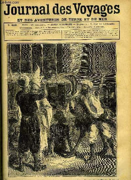 Journal des voyages et des aventures de terre et de mer n° 458 - Les fous de Constantinople - dans les cours, les animaux se promènent au milieu des ...
