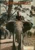 Le journal des voyages, nouvelle série n° 80 - A travers l'Afrique mystérieuse : de Colomb-Béchar à l'océan indien : l'exposition de la croisière ...