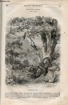 LE MAGASIN PITTORESQUE - Livraison n°023 - L'oiseau de paradis, légende suédoise.. Cazeaux Euryale et Charton Edouard.