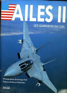 AILES II. LES GARDIENS DU CIEL