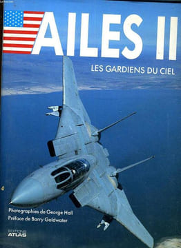 AILES II. LES GARDIENS DU CIEL. Ailes II - Les gardiens du ciel