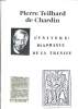 Pierre Teilhard de Chardin l'univers: diaphane de la trinité. Collectif