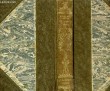LE DERNIER VOILE (MOEURS DE COUVENT). ROMAN. MARYLIE MARKOVITCH
