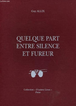 QUELQUE PART ENTRE SILENCE ET FUREUR. GUY ALLIX
