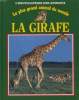 LE PLUS GRAND ANIMAL DU MONDE: LA GIRAFLE. JEREMY BRADSHAW