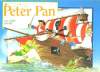 PETER PAN. UN LIVRE ANIME. COLLECTIF