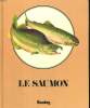 LE SAUMON. PAULA HOGAN