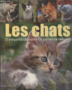 Les chats : D'élégants chasseurs à pattes de velours