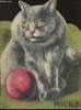 Micky (le chat). Collectif