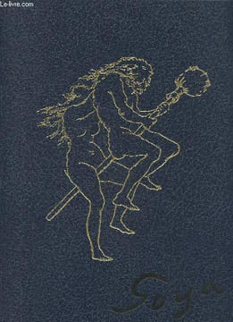 "Francisco Goya (Collection: ""Grands Peintres classiques"")". Boudaille Georges