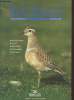 World Birdwatch Volume 24 n°4 December 2004 : Brids in Europe, Sumba, Asia's IBAs, Bird Festivals, Bald Eagles. Sommaire : Communities sustain Sumba's ...