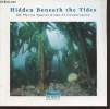 Hidden Beneath the Tides : Uk marine special areas of conservation. Collectif