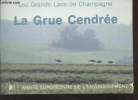 Les Grands Lacs de Champagne : La Grue Cendrée - Année Européenne de l'Environnement. Clement D., Loyrette C., Petit P.