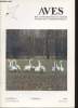 AVES Volume 31 n°1 Novembre 1994. Sommaire : Rapport de la commission d'homologation Année 1992 - Recencements hivernaux des oiseaux d'eau en Wallonie ...
