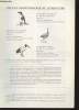Recent ornithological Literature - Supplement to the Auk vol. 104 n°2 April 1987 - Supplement to the Emu Vol. 87 n°2 June 1987 - Supplement to Ibis ...