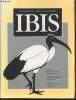 IBIS Volume 141 Number 1 January 1999 . The International Journal of The Britsh Ornithologists Union. Sommaire : Biannual complete moult in the ...