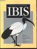 IBIS Volume 141 Number 3 July 1999. The International Journal of The Britsh Ornithologists Union. Sommaire : Effect of Great Reed Warbler on the ...
