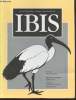 IBIS Volume 141 Number 4 October 1999. The International Journal of The Britsh Ornithologists Union. Sommaire : First nest description, breeding, ...