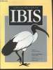 IBIS Volume 142 Number 1 January 2000. The International Journal of The Britsh Ornithologists Union. Sommaire : Predators as prey at a Golden Eagle ...