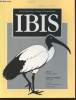 IBIS Volume 142 Number 2 April 2000 . The International Journal of The Britsh Ornithologists Union. Sommaire : Territoriality and the significiance of ...