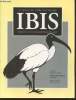 IBIS Volume 144 Number 2 April 2002. The International Journal of The Britsh Ornithologists Union. Sommaire : Composition and foraging behaviour of ...