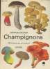 "Champignons : 256 illustrations en couleurs (Collection : ""La nature à livre ouvert"")". Becker Georges