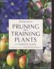 Pruning and training plants. Joyce David