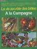 "A la campagne : La taupe - La belette - La chouette chevêche - La coccinelle - Le corbeau freux - Le doryphore - etc.(Collection : ""La vie secrètes ...
